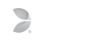 Evolution Gaming